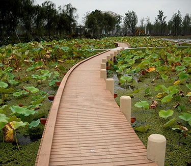 the 6th Jiangsu horticultural exposition 886d8dd